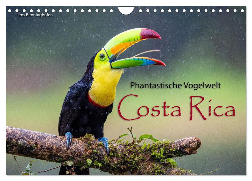 Phantastische Vogelwelt Costa Rica (Wandkalender 2026 DIN A4 quer) CALVENDO Monatskalender