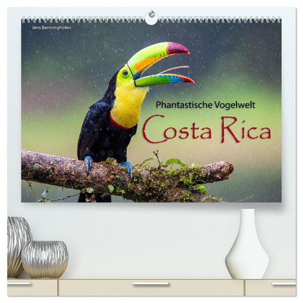 Phantastische Vogelwelt Costa Rica (hochwertiger Premium Wandkalender 2026 DIN A2 quer) Kunstdruck in Hochglanz