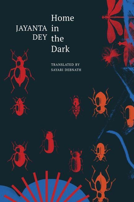 Home in the Dark - Selected Stories