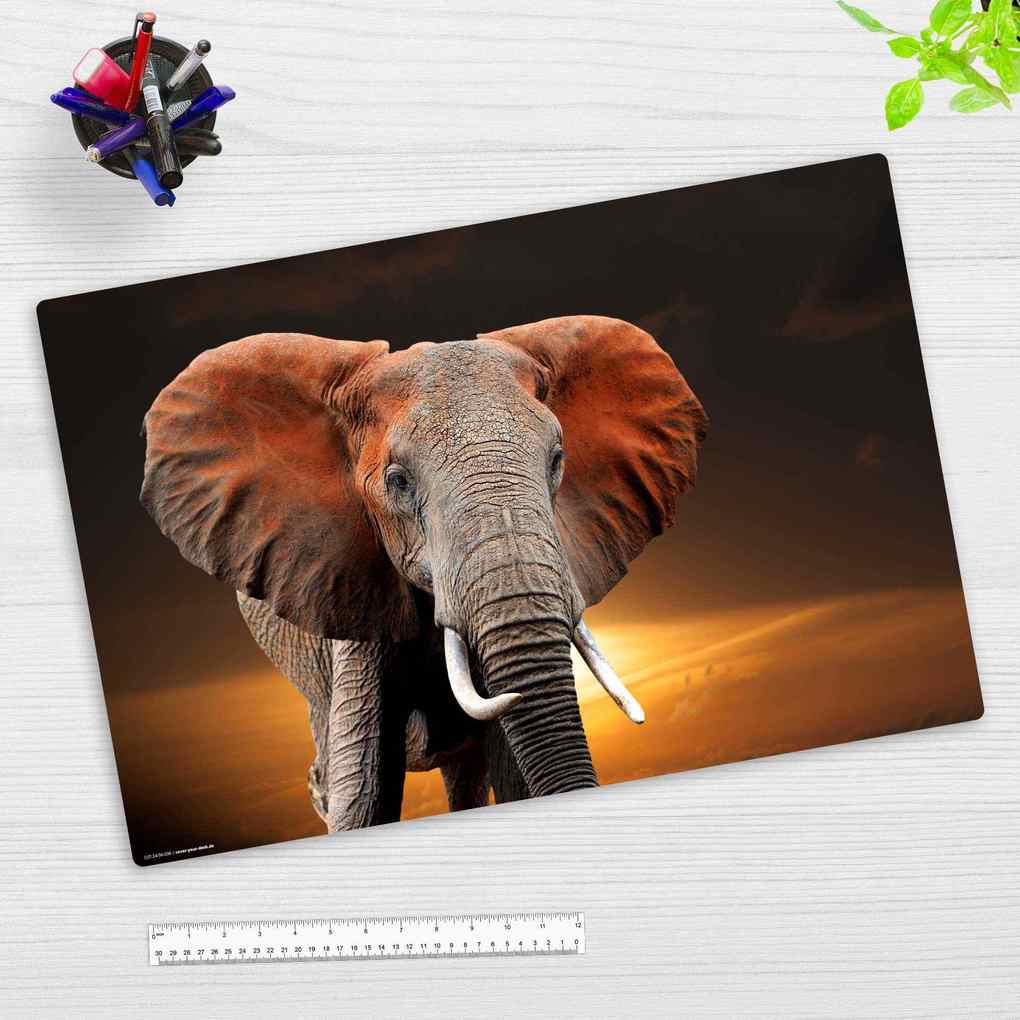 Cover-your-desk Schreibtischunterlage für Kinder Elefant in der Steppe aus hochwertigem Vinyl 60 x 40 cm