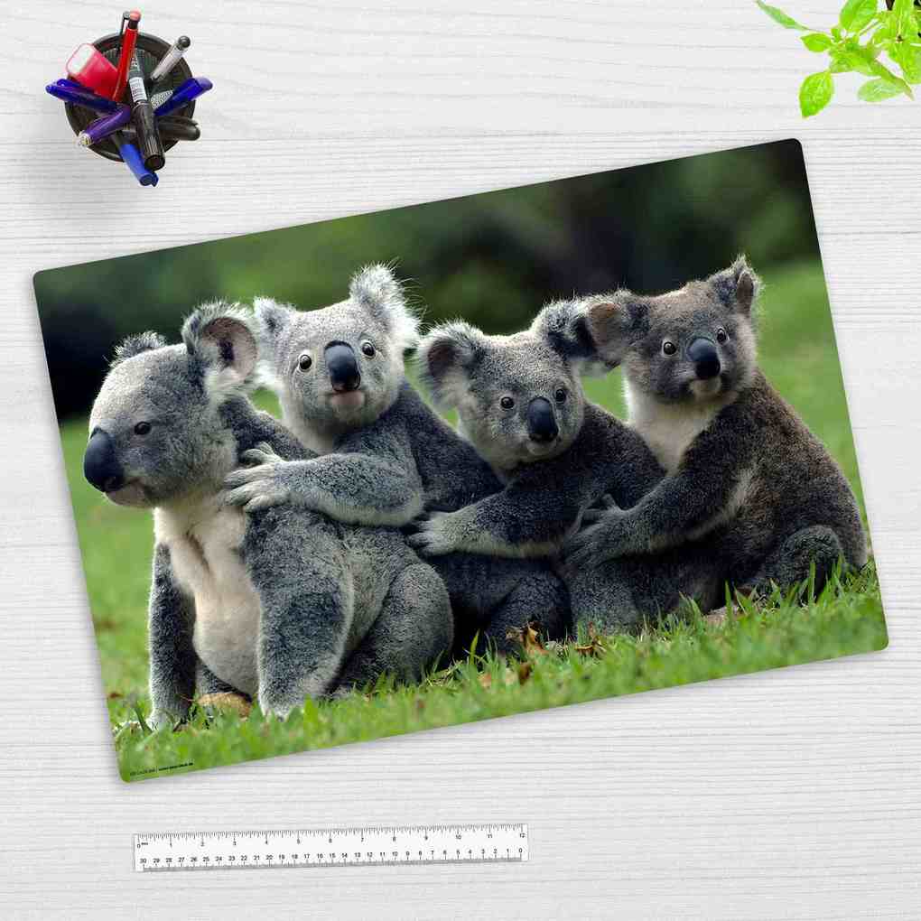Cover-your-desk Schreibtischunterlage für Kinder Koala aus hochwertigem Vinyl 60 x 40 cm