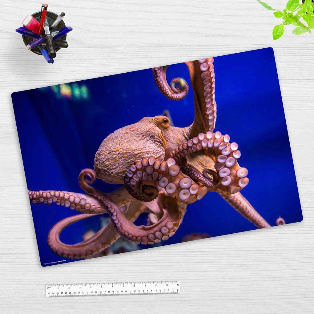 Cover-your-desk Schreibtischunterlage für Kinder Oktopus Tintenfisch aus hochwertigem Vinyl 60 x 40 cm