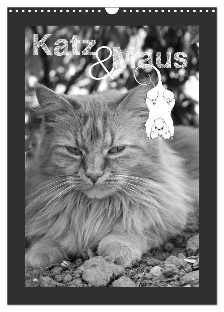 Katz & Maus (Wandkalender 2026 DIN A3 hoch) CALVENDO Monatskalender