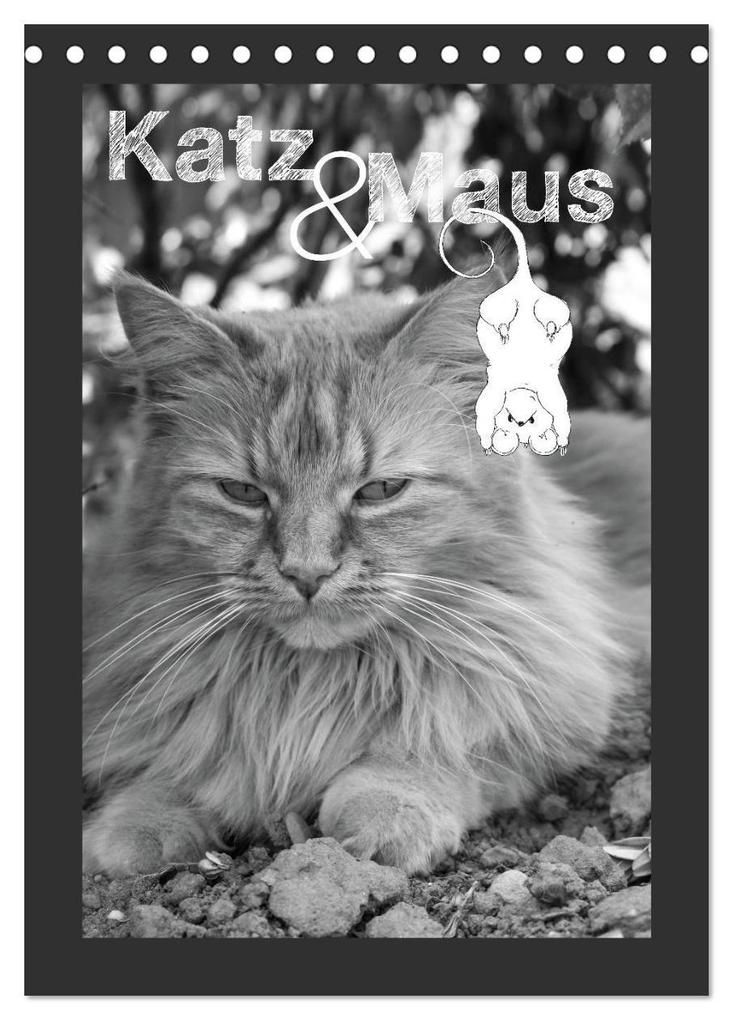 Katz & Maus (Tischkalender 2026 DIN A5 hoch) CALVENDO Monatskalender