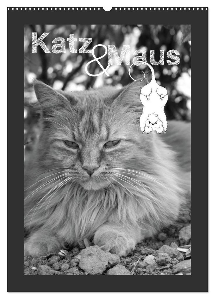 Katz & Maus (Wandkalender 2026 DIN A2 hoch) CALVENDO Monatskalender