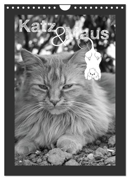 Katz & Maus (Wandkalender 2026 DIN A4 hoch) CALVENDO Monatskalender