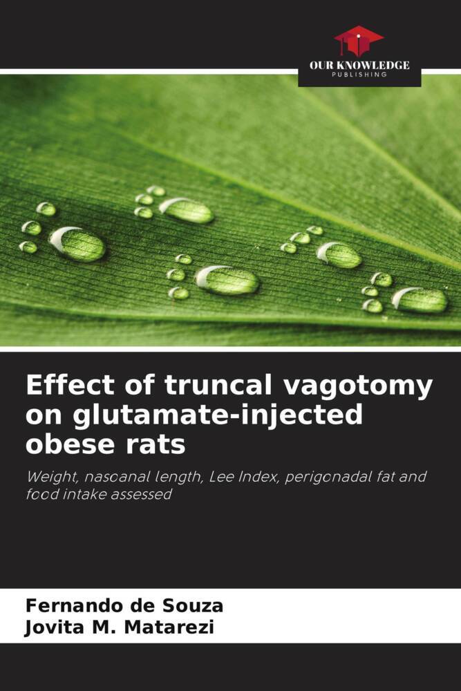 Effect of truncal vagotomy on glutamate-injected obese rats