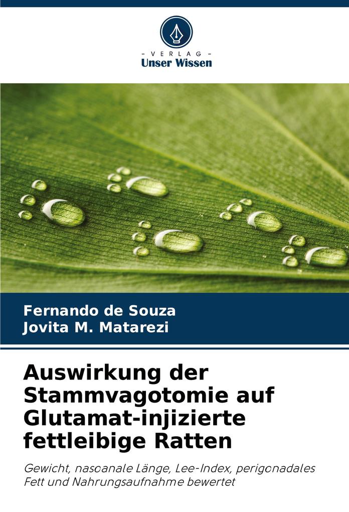 Auswirkung der Stammvagotomie auf Glutamat-injizierte fettleibige Ratten