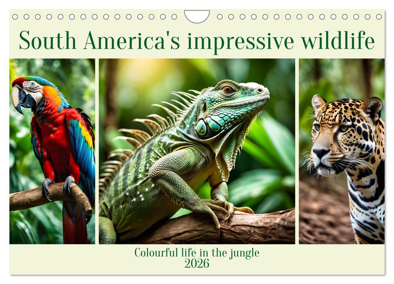 South America's impressive wildlife (Wall Calendar 2026 DIN A4 landscape) CALVENDO 12 Month Wall Calendar