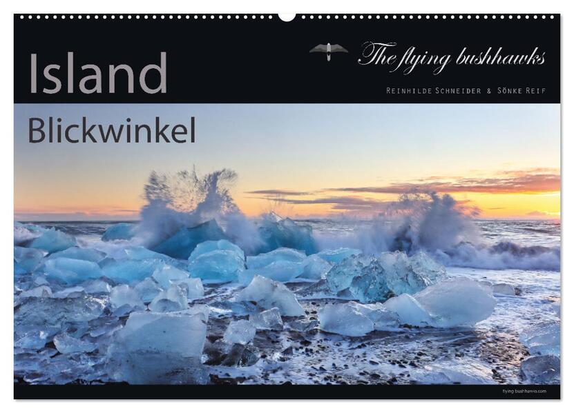 Island Blickwinkel 2026 (Wandkalender 2026 DIN A2 quer) CALVENDO Monatskalender