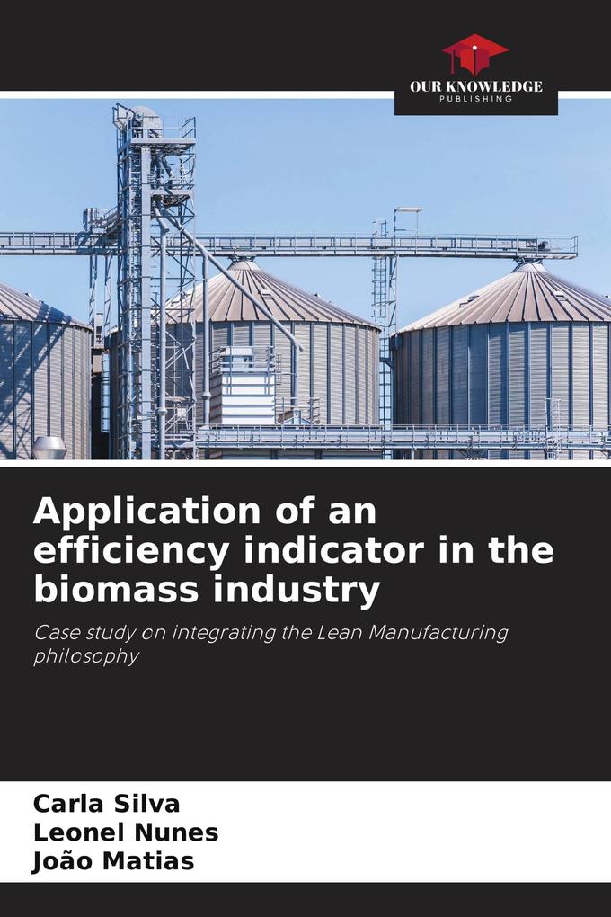 Application of an efficiency indicator in the biomass industry