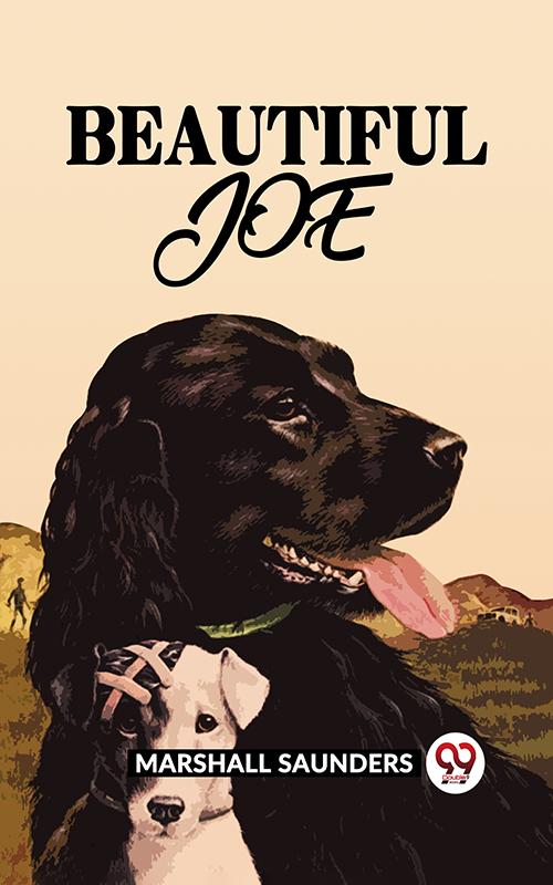 BEAUTIFUL JOE