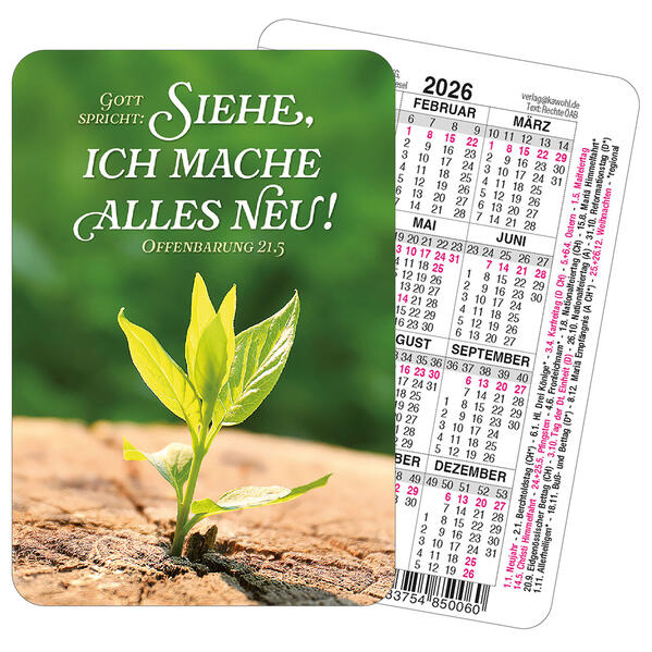Spielkartenkalender 2026