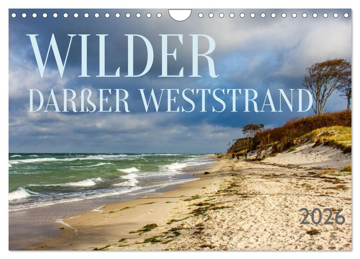 Wilder Darßer Weststrand (Wandkalender 2026 DIN A4 quer) CALVENDO Monatskalender