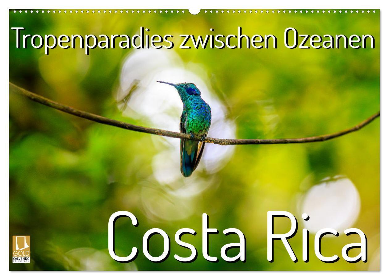 Tropenparadies zwischen Ozeanen Costa Rica (Wandkalender 2026 DIN A2 quer) CALVENDO Monatskalender
