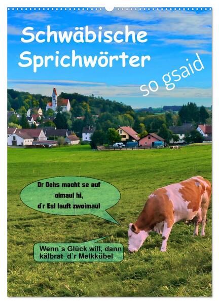 Schwäbische Sprichwörter - so gsaid (Wandkalender 2026 DIN A2 hoch) CALVENDO Monatskalender