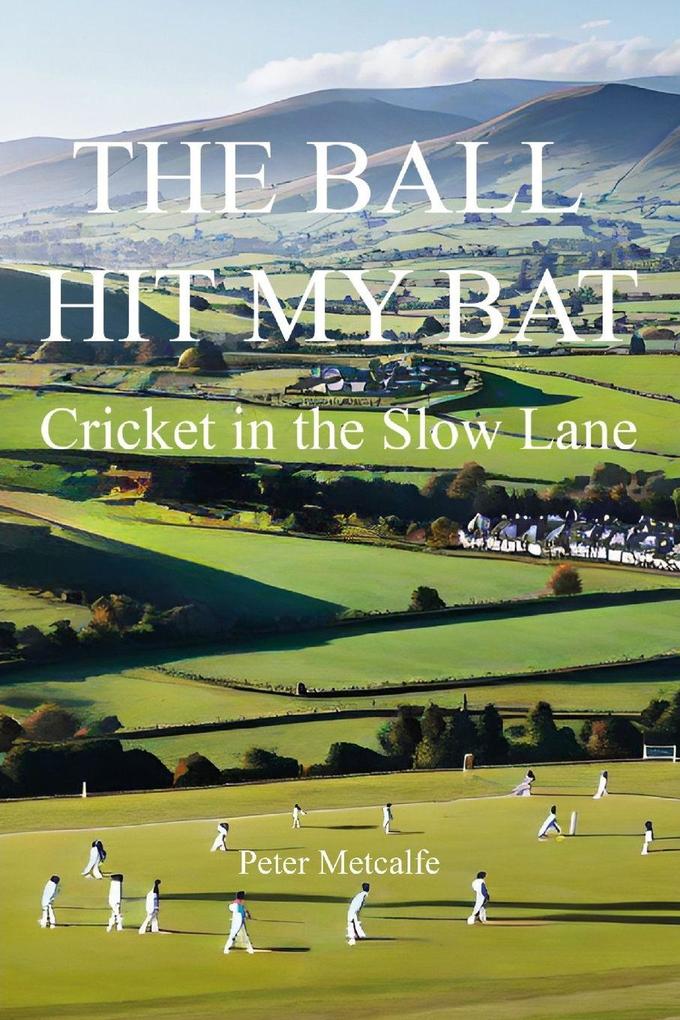 The Ball Hit My Bat