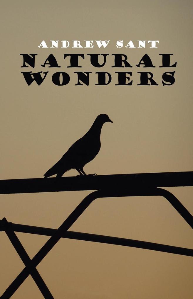 Natural Wonders
