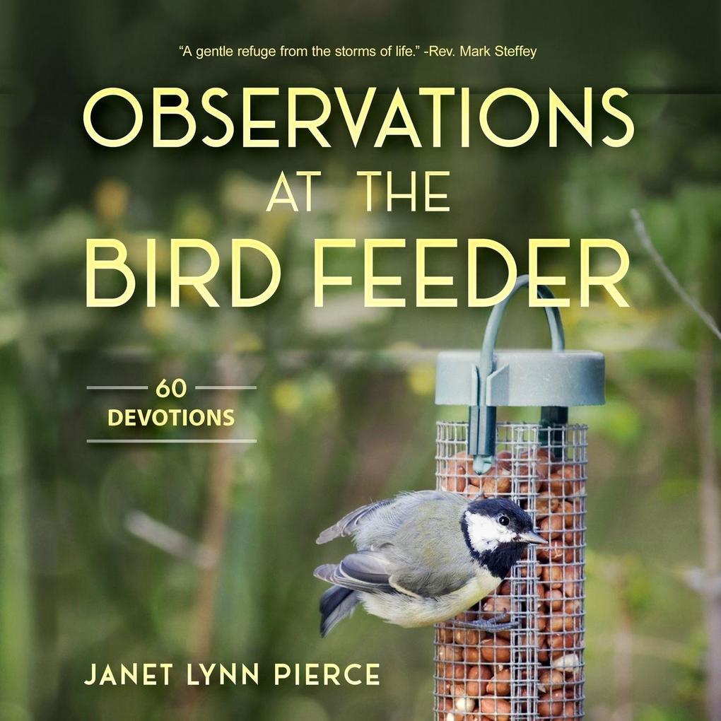Observations at the Bird Feeder