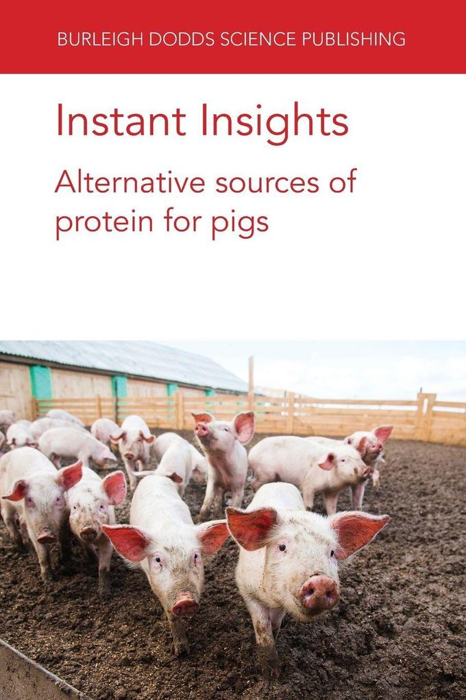 Instant Insights