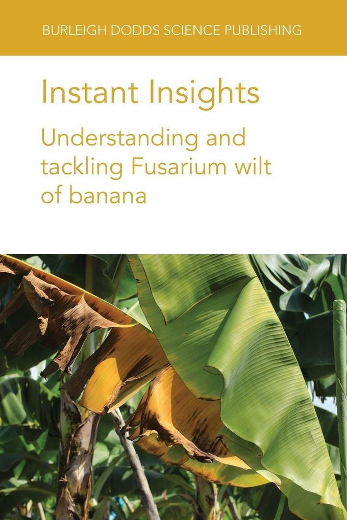 Instant Insights