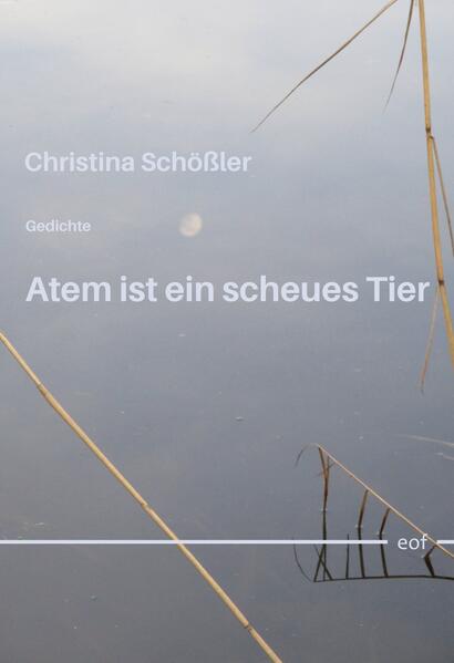 Atem ist ein scheues Tier