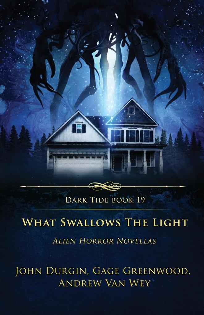 What Swallows the Light