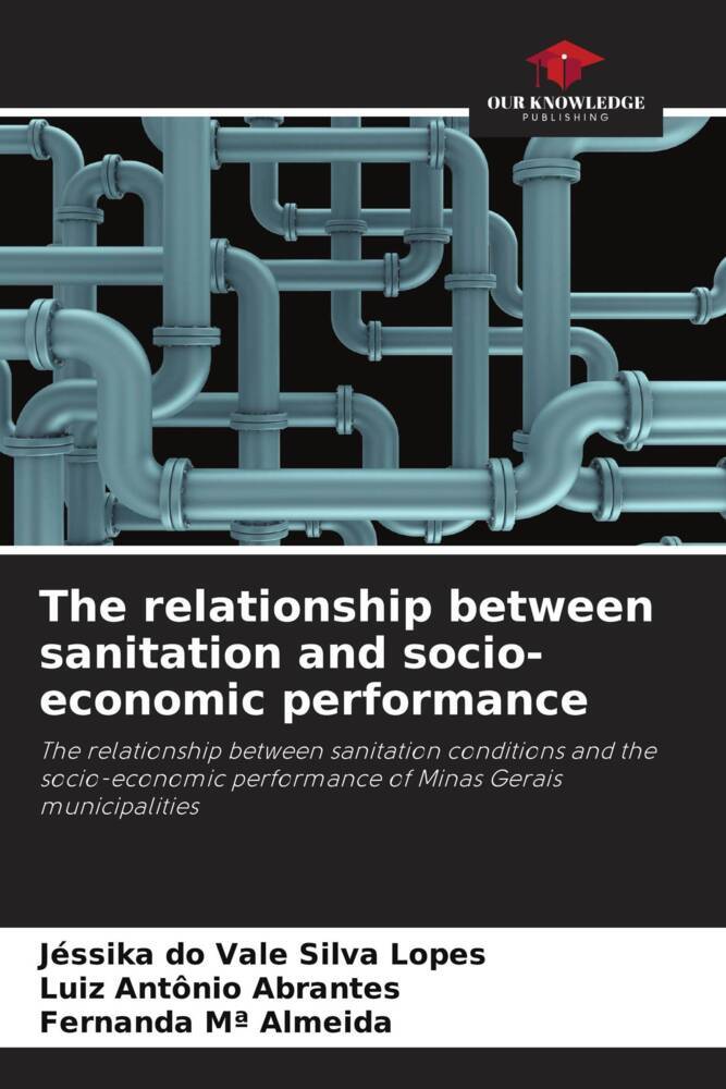 The relationship between sanitation and socio-economic performance