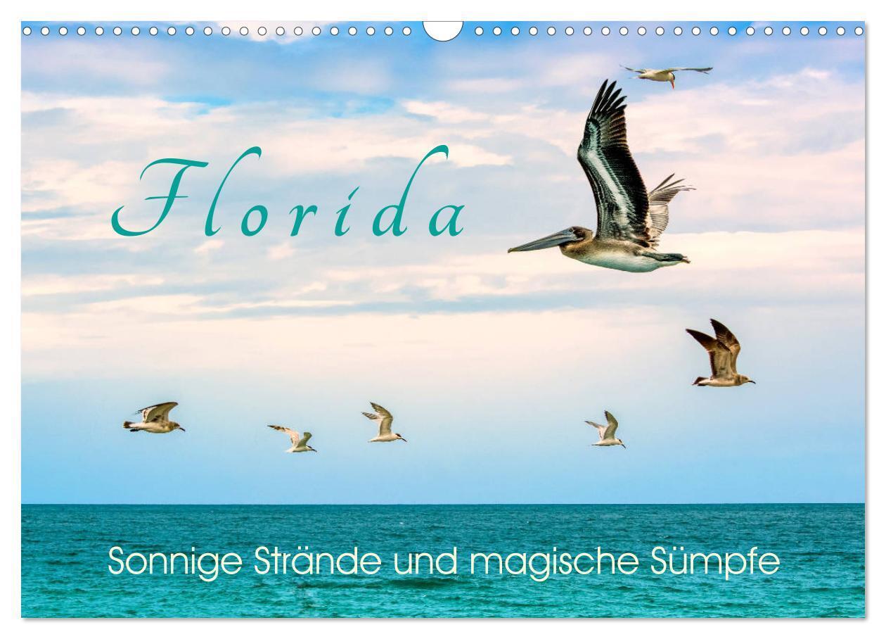 Florida - Sonnige Strände und magische Sümpfe (Wandkalender 2026 DIN A3 quer) CALVENDO Monatskalender