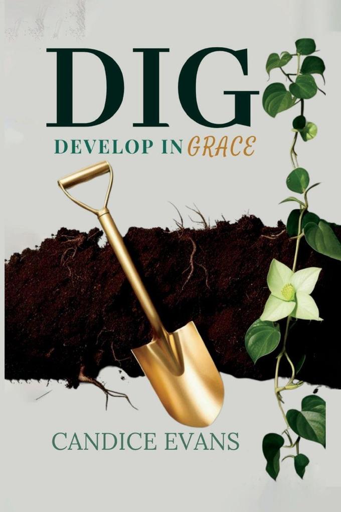 DIG