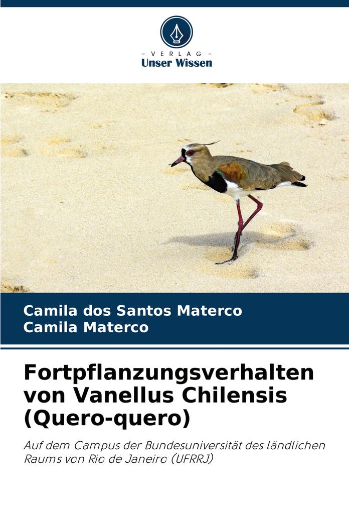 Fortpflanzungsverhalten von Vanellus Chilensis (Quero-quero)