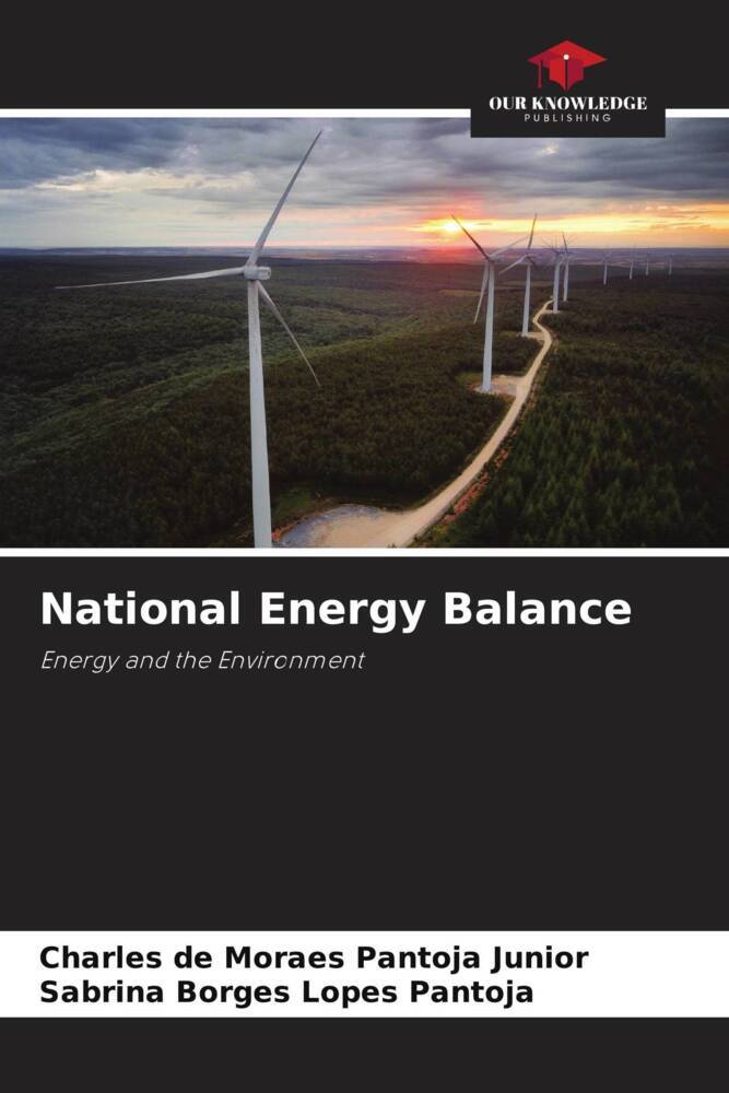 National Energy Balance