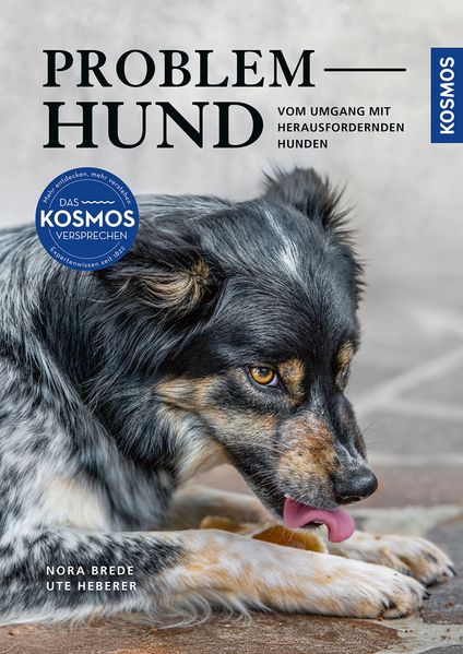 Problem Hund