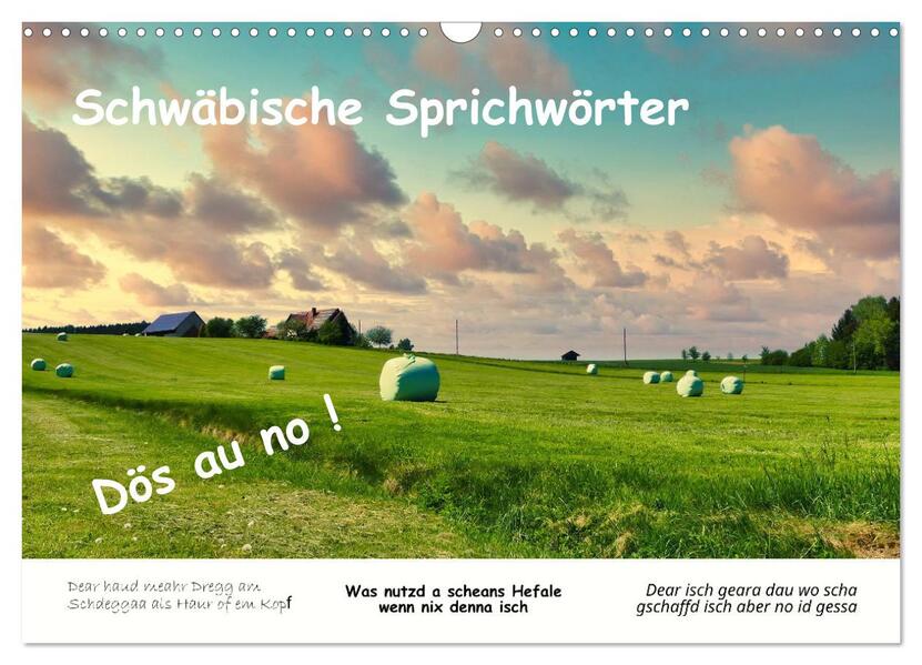 03 Schwäbische Sprichwörter - Dös au no! (Wandkalender 2026 DIN A3 quer) CALVENDO Monatskalender