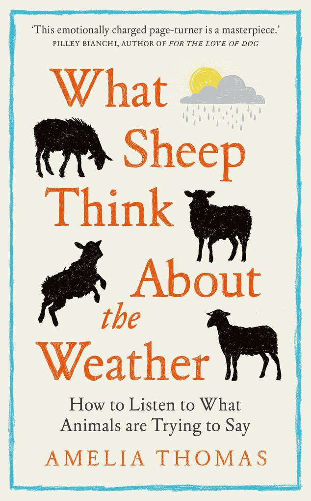 What Sheep Think About the Weather