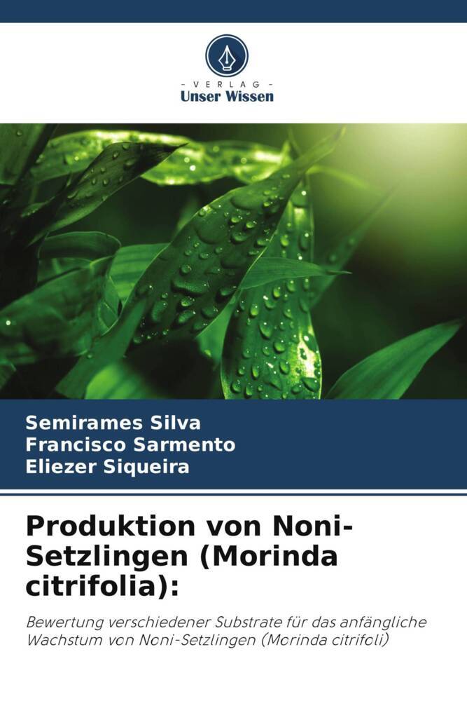 Produktion von Noni-Setzlingen (Morinda citrifolia):