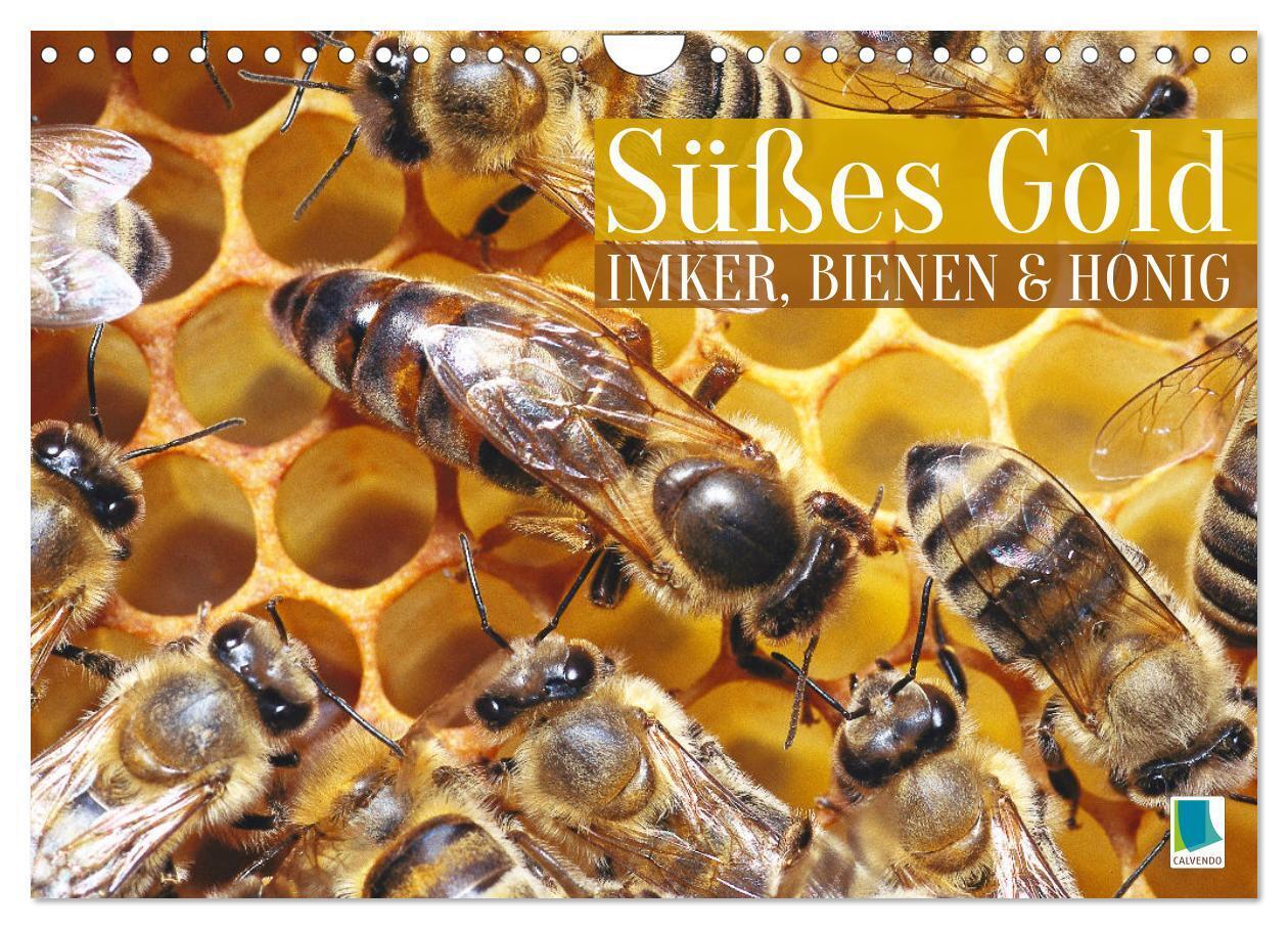 Süßes Gold: Imker Bienen & Honig (Wandkalender 2026 DIN A4 quer) CALVENDO Monatskalender