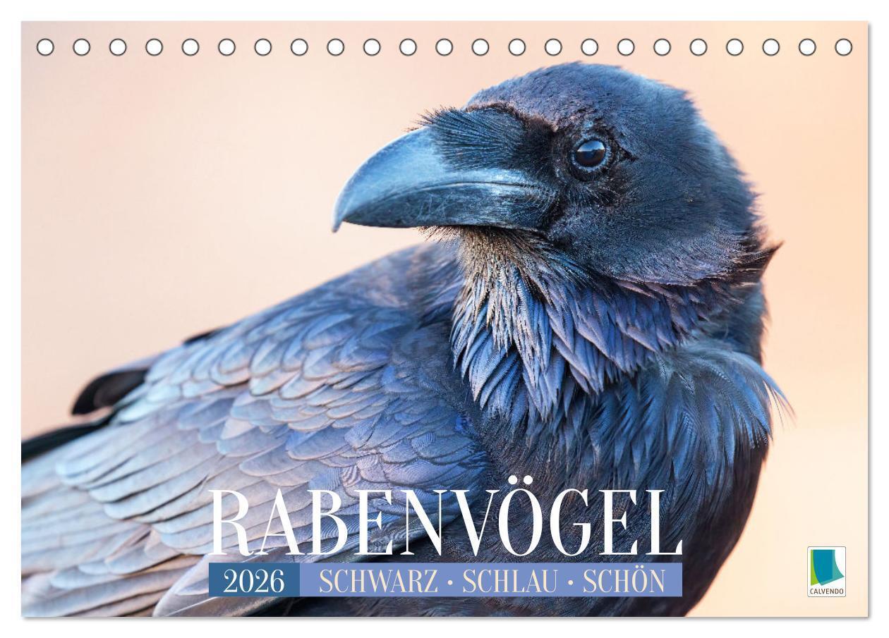 Rabenvögel: Schwarz schlau schön (Tischkalender 2026 DIN A5 quer) CALVENDO Monatskalender