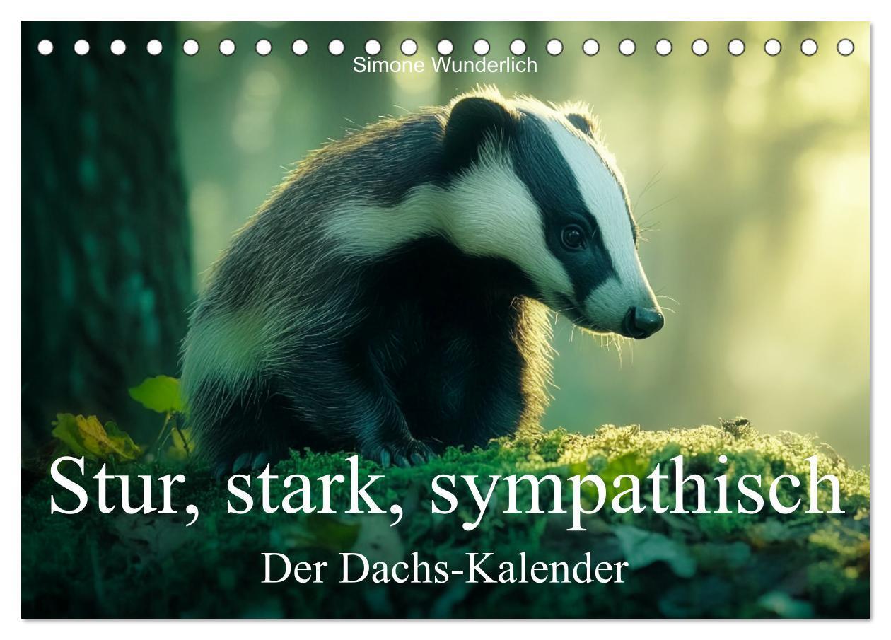 Stur stark sympathisch - Der Dachs - Kalender (Tischkalender 2026 DIN A5 quer) CALVENDO Monatskalender