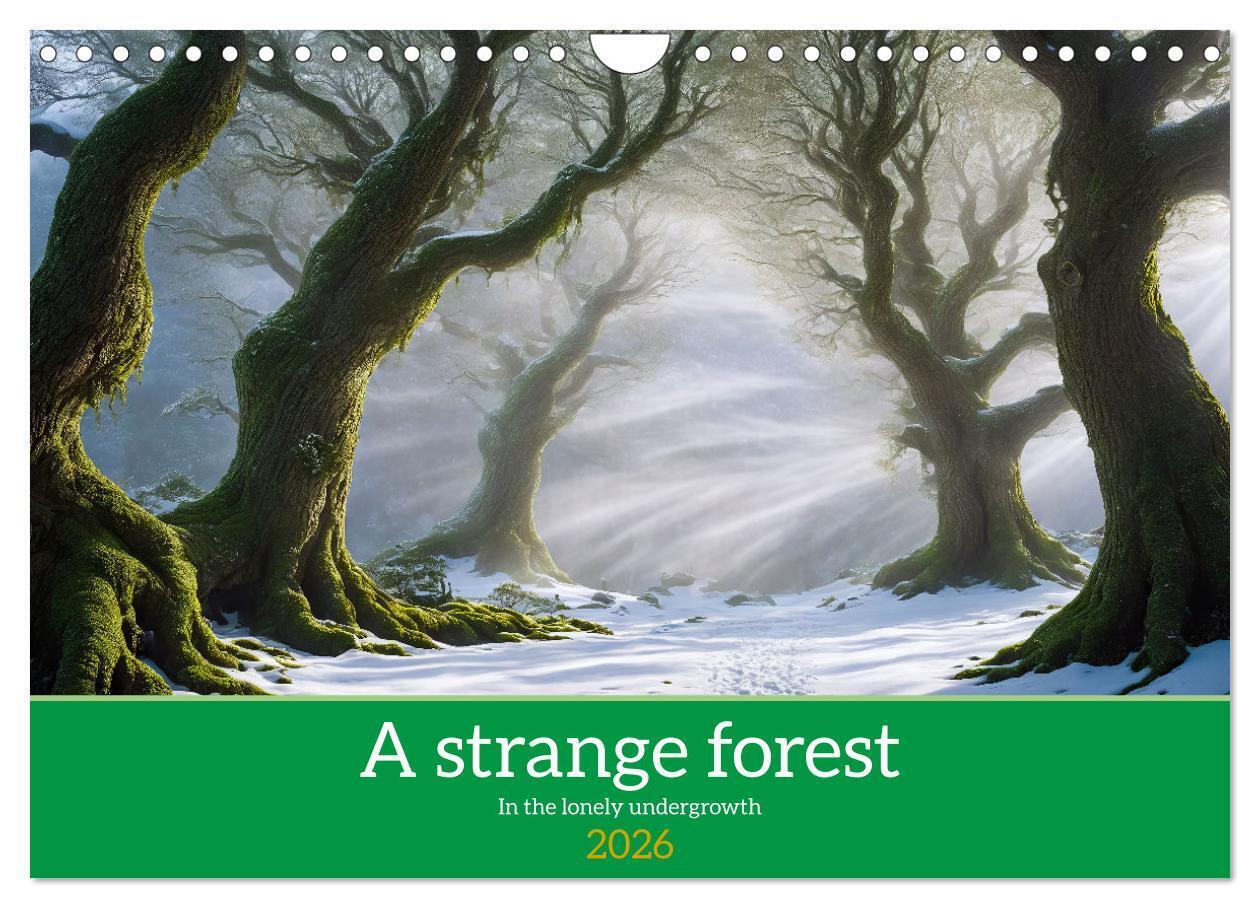 A strange forest In the lonely undergrowth (Wall Calendar 2026 DIN A4 landscape) CALVENDO 12 Month Wall Calendar