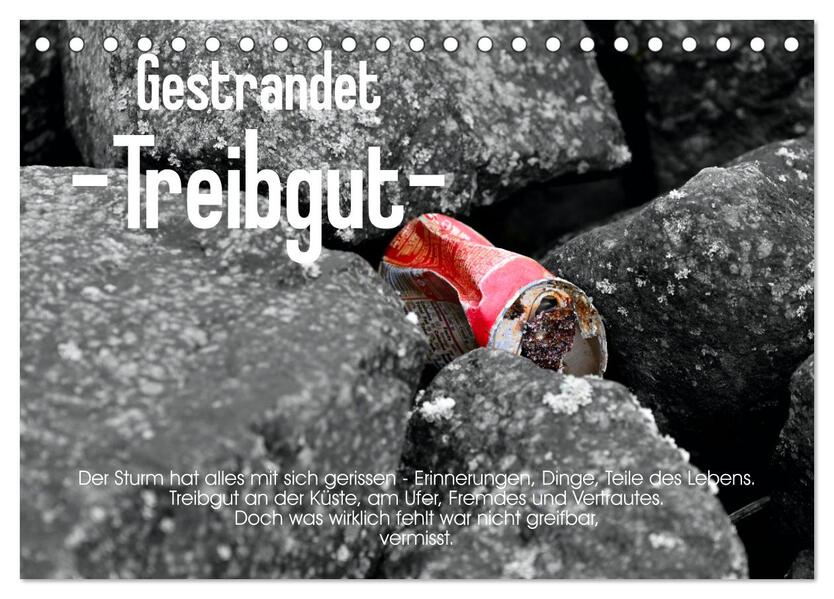 Gestrandet -Treibgut- (Tischkalender 2026 DIN A5 quer) CALVENDO Monatskalender