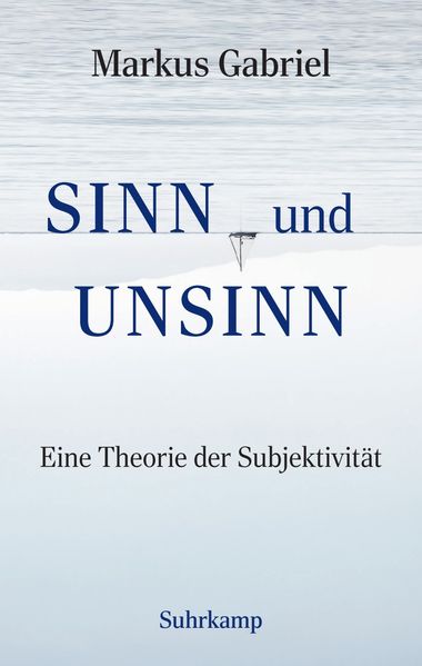 Sinn und Unsinn Eine Theorie der Subjektivität (Sinnfeldtheorie 3)