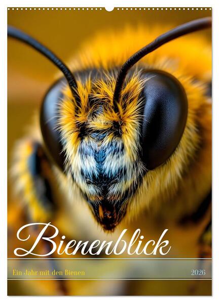Bienenblick - Ein Jahr mit den Bienen (Wandkalender 2026 DIN A2 hoch) CALVENDO Monatskalender
