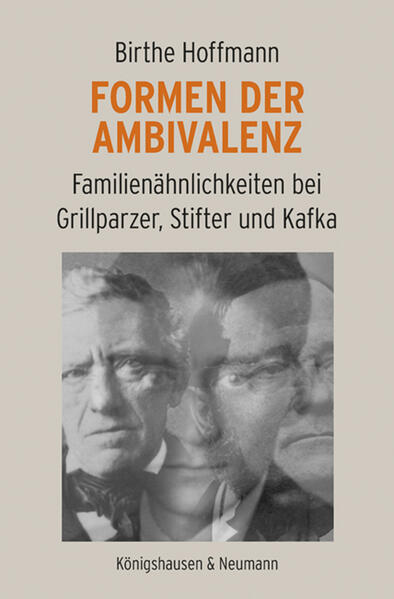 Formen der Ambivalenz