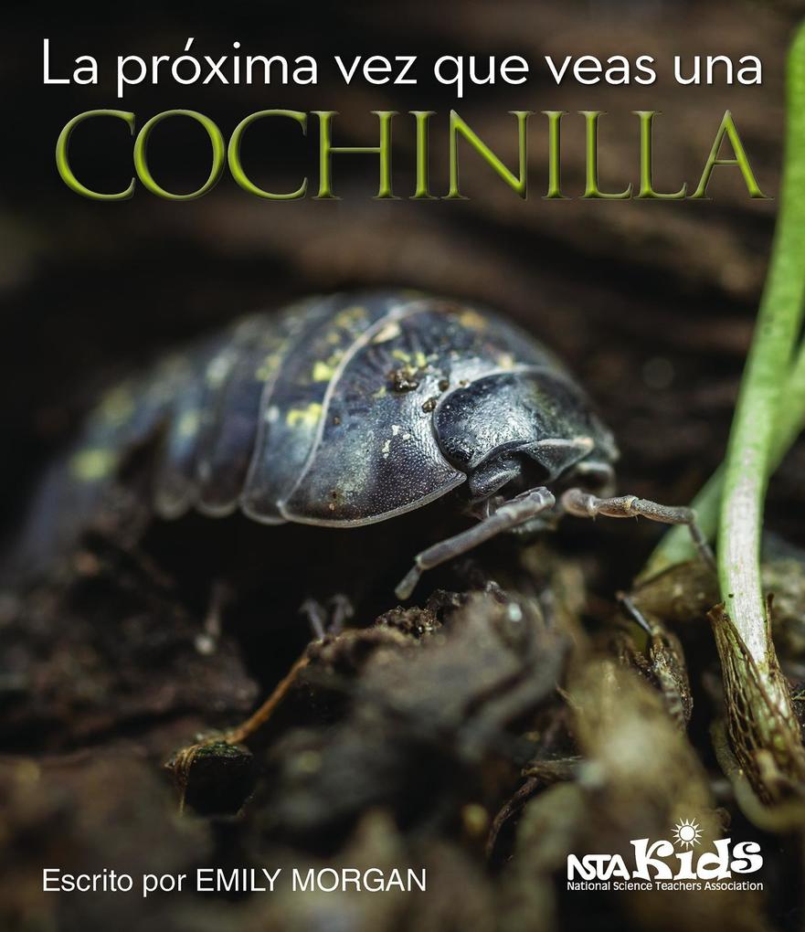 La próxima vez que veas una cochinilla