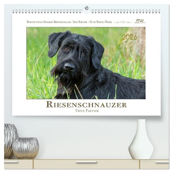Riesenschnauzer - Treue Partner (hochwertiger Premium Wandkalender 2026 DIN A2 quer) Kunstdruck in Hochglanz