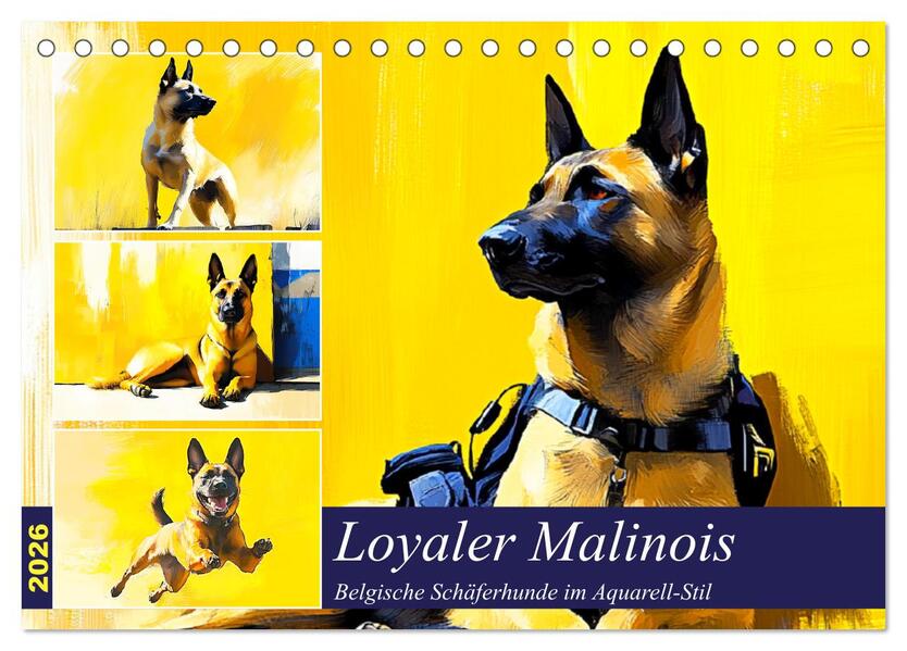 Loyaler Malinois. Belgische Schäferhunde im Aquarell-Stil (Tischkalender 2026 DIN A5 quer) CALVENDO Monatskalender