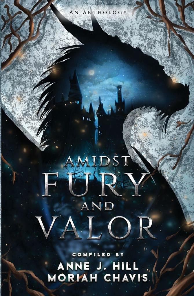 Amidst Fury and Valor