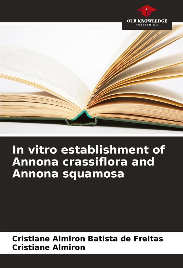 In vitro establishment of Annona crassiflora and Annona squamosa