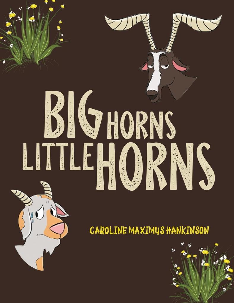 Big Horns Little Horns